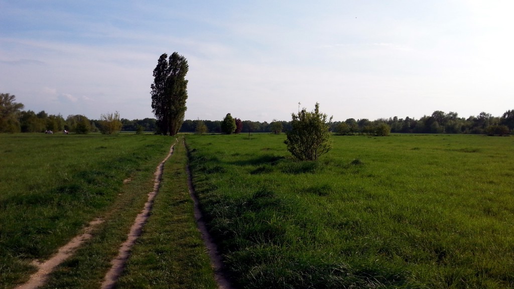 Am Mauerweg am Schichauweg in Berlin Mariendorf.